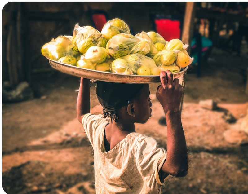 Nigerian cocoa harvest in basket