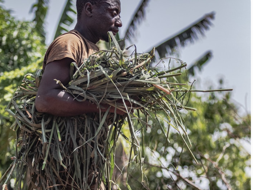 African farmer with harvested crops in field